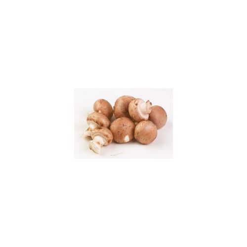 Fehér champignon gomba, bio (HU) (500g)