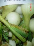   Salátahagyma, édes, Grano, bio (HU) - Erdődi Biokertészet