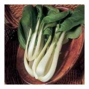 Pak choi, bio (IT) (300 g/db) - Lot: 40528-52974868