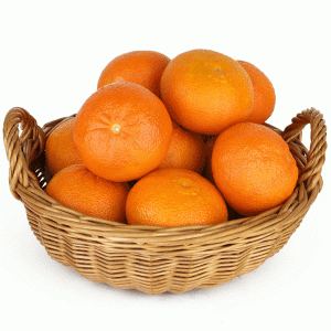 Mandarin, clementin, bio (IT) - Lot: 4578